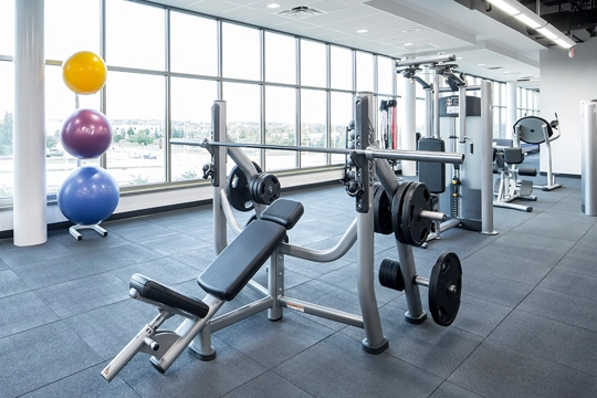 weightlifting equipment in a fitness center